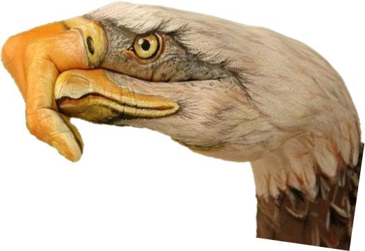 ��ʤ����