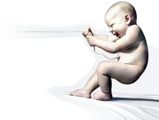 ��ʤ����