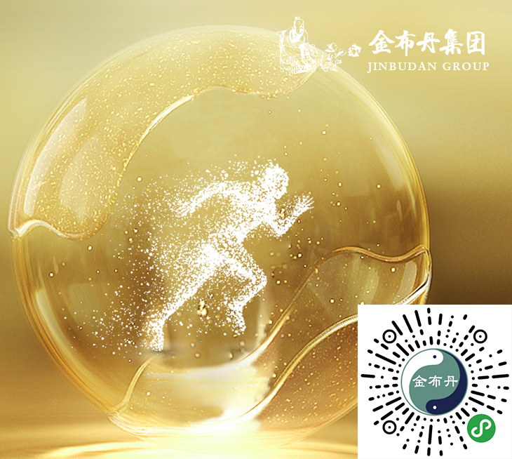 金布丹國際電子有限公司—小程序